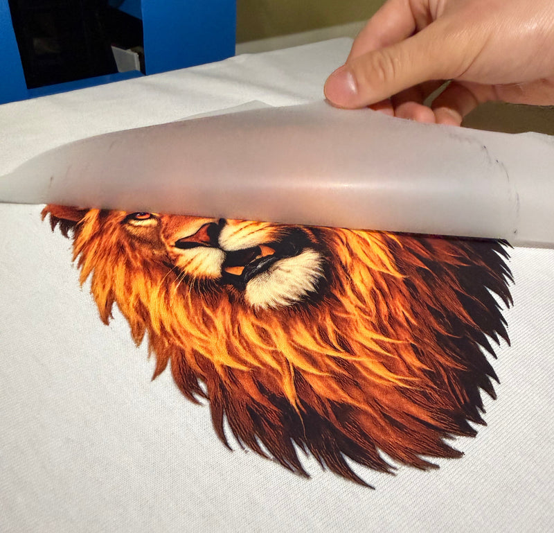 DTF transfers peel half a lion on the cotton fabric