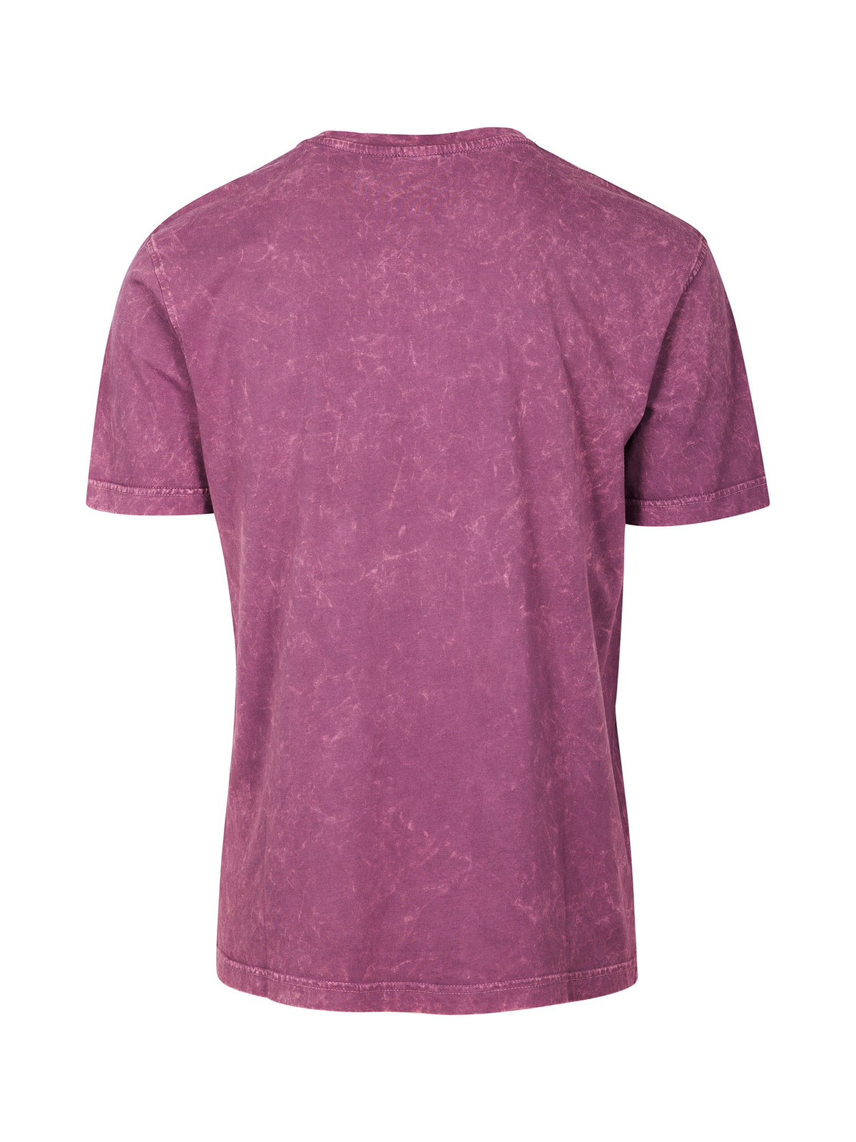 RAMO T317KS Kid's Stone Wash T-shirt — Mauve back