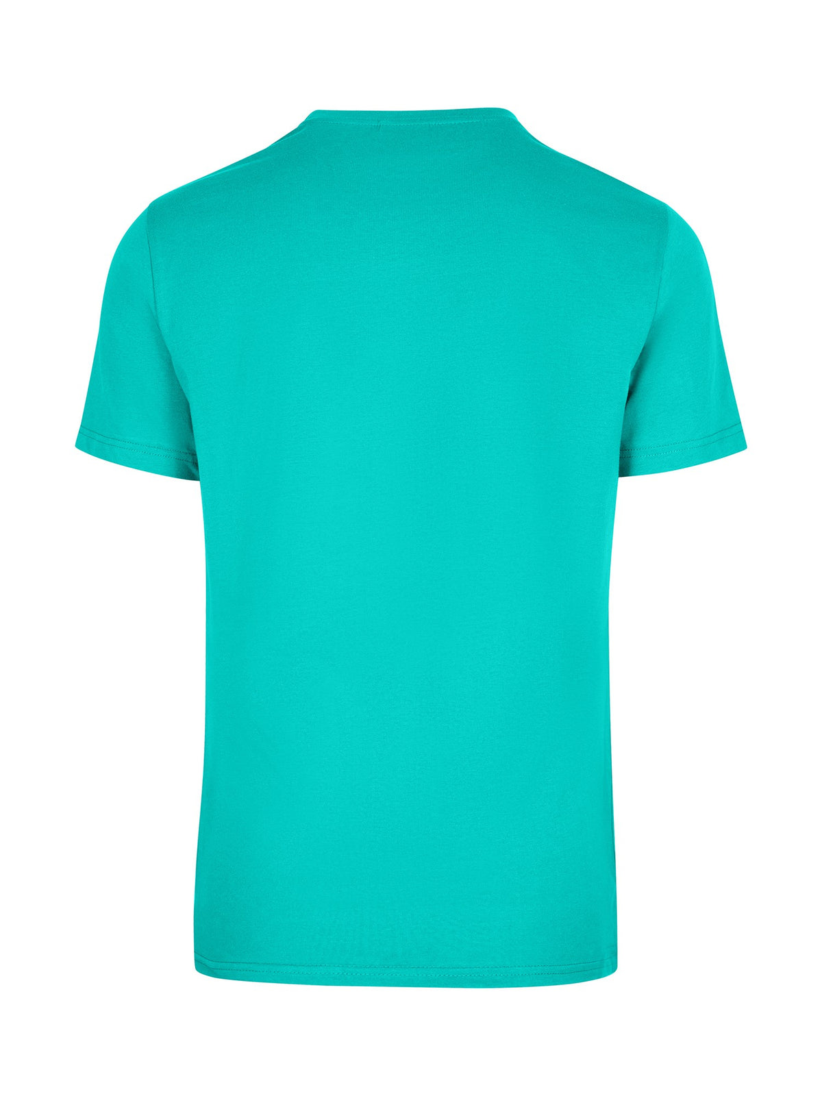 RAMO T801HC Unisex American Style Cotton Tee — Fruit Green back